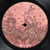 Acid Puke EP