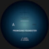 WM04_2_600 Cosmic Resonance