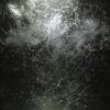 A Gate To The Forest (Ayū & Marijn S Remixes)