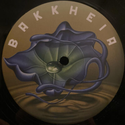 BH009_1_600 Bakk Heia Records - BH009