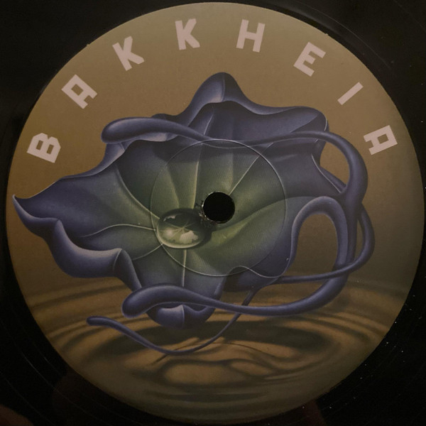 BH009_1_600 Bakk Heia Records - BH009