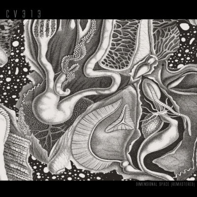 Dimensional Space