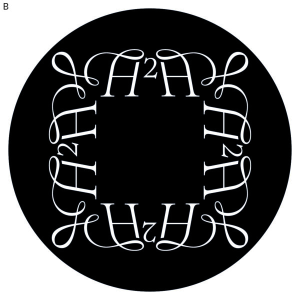 240605_YYKH2H001-labels2 Majestic