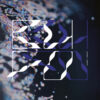 Ranidae EP