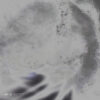 AR005_1_600 Phase Alternations