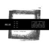 MSK15_2_600 BILLIE
