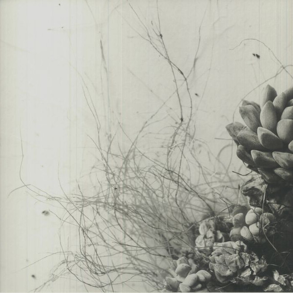 PRTLL001_1_600 Unfold