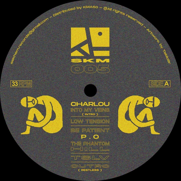 SKM005_1_600 SKM005
