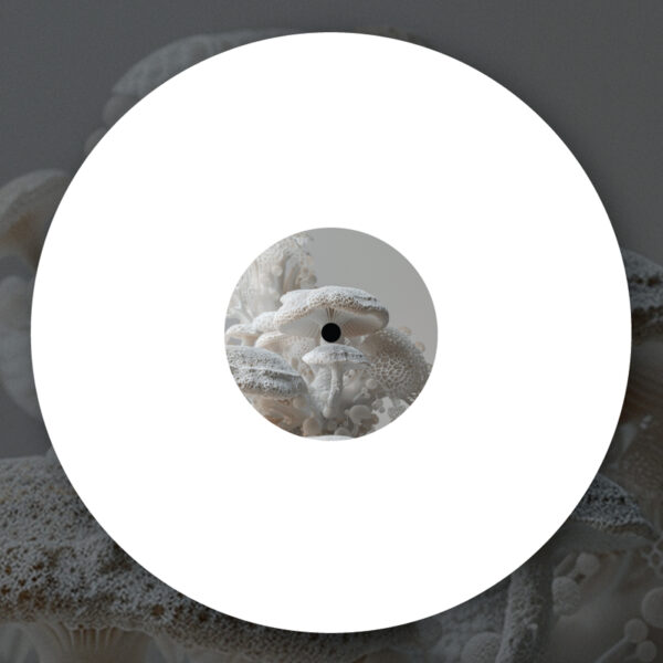 ANGL011_A SIDE Delavelour ''I've Gotta Heat'' Remixes by Isolée and Ohm Hourani