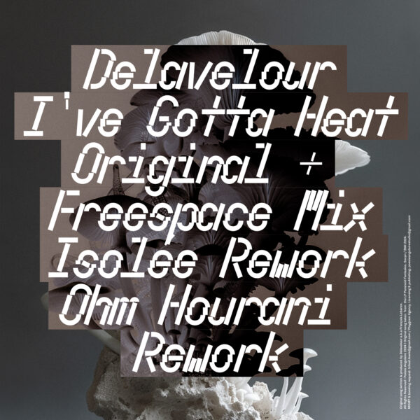 ANGL011_INNER SLEEVE Delavelour ''I've Gotta Heat'' Remixes by Isolée and Ohm Hourani