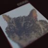 DKO38_3_600 LIVE PROJECT