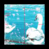 KAPS004_2_600 Slipstream