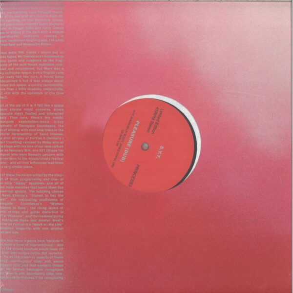 PRINCESS3 Princess P presents:Fortran 5,Renegade Soundwave, Saint Etienne, S.Y.T. (Shave Your Tongue)