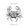 Shadi Megallaa - What Now