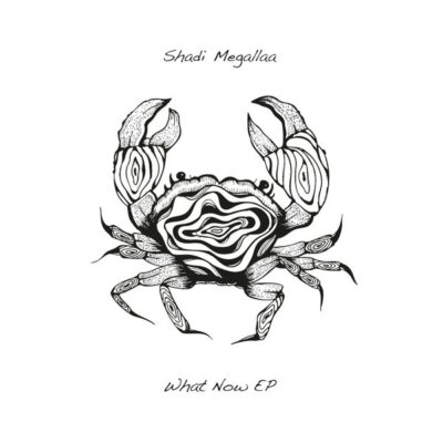 Shadi Megallaa - What Now