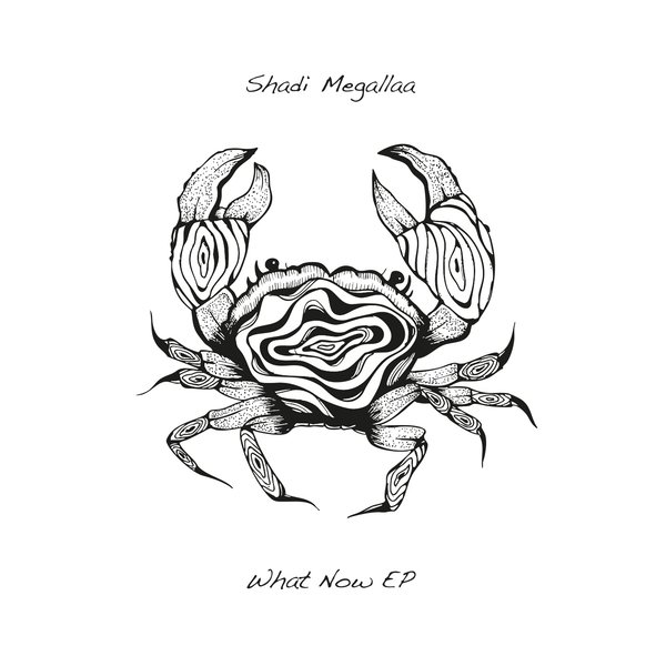 Shadi Megallaa - What Now
