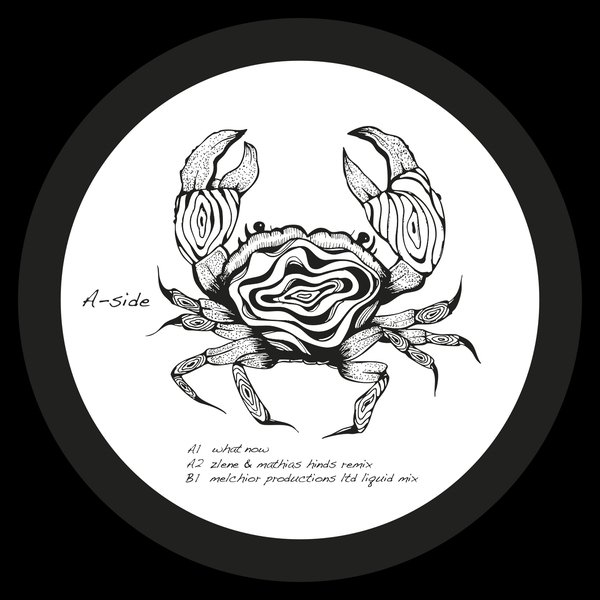 Shadi Megallaa - What Now