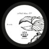 Shadi Megallaa - What Now