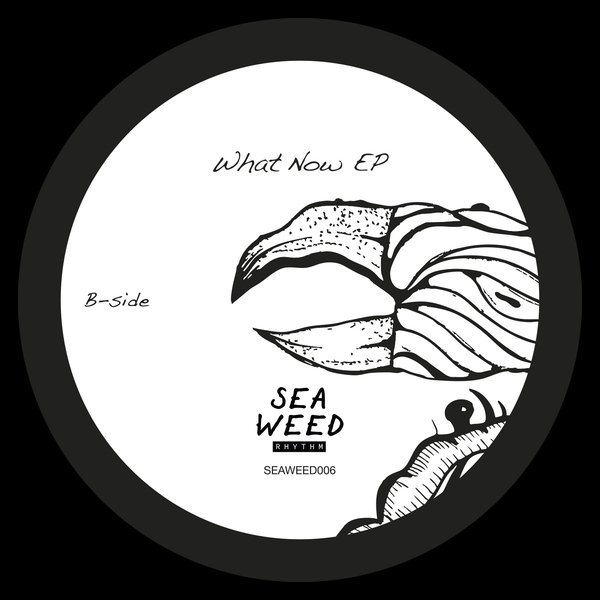 Shadi Megallaa - What Now