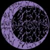SKO003_3_600 Entangled LP