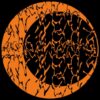 SKO003_5_600 Entangled LP