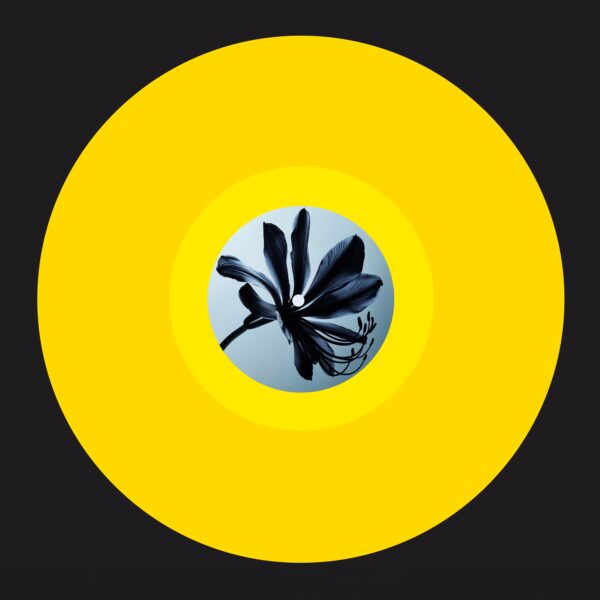 Glimpse Of Light (Fred Everything & Lee Curtiss Reworks)
