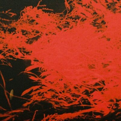 In Studio Magic (LP)