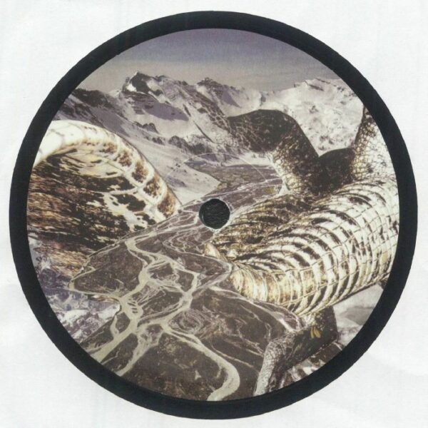 Andy Martin / Christian Coiffure Split