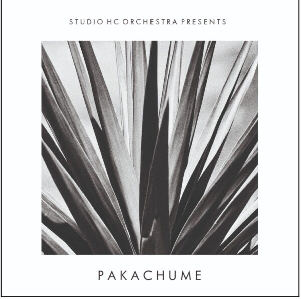 HCLP008 Pakachume