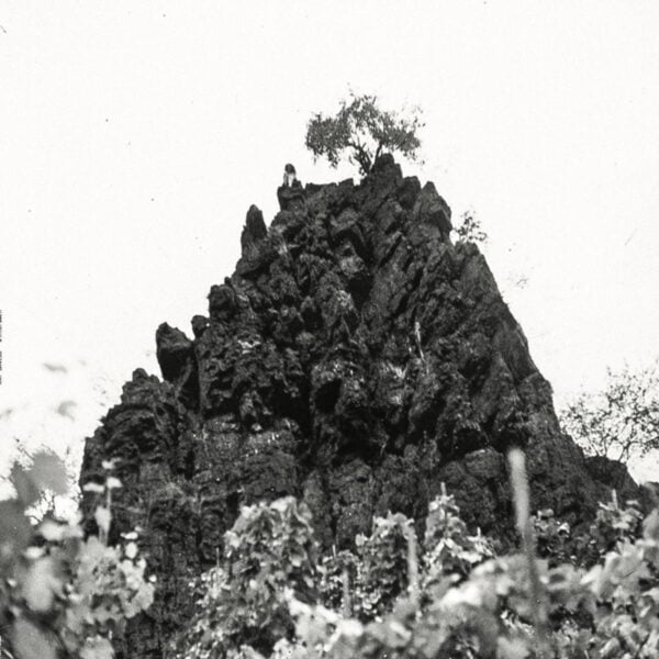 INT088LP winterswell