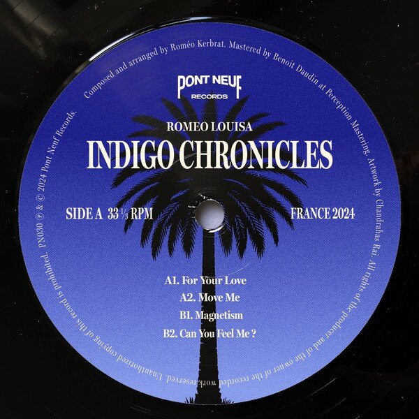 PN030_2 Indigo Chronicles