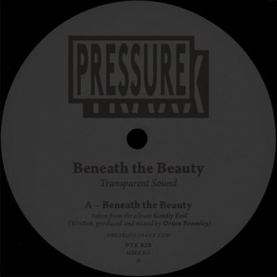 PTX028_A Beneath The Beauty