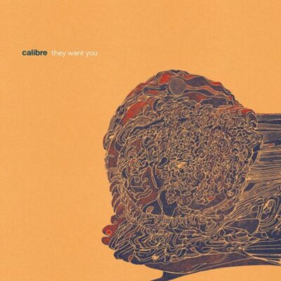 SIGLP021 They want you 3x12"
