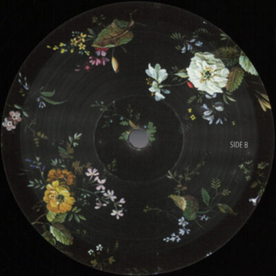 Stereochord EP
