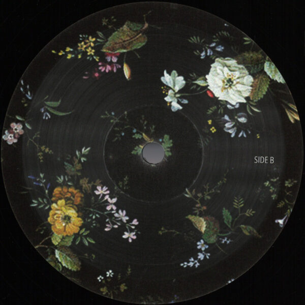 Stereochord EP