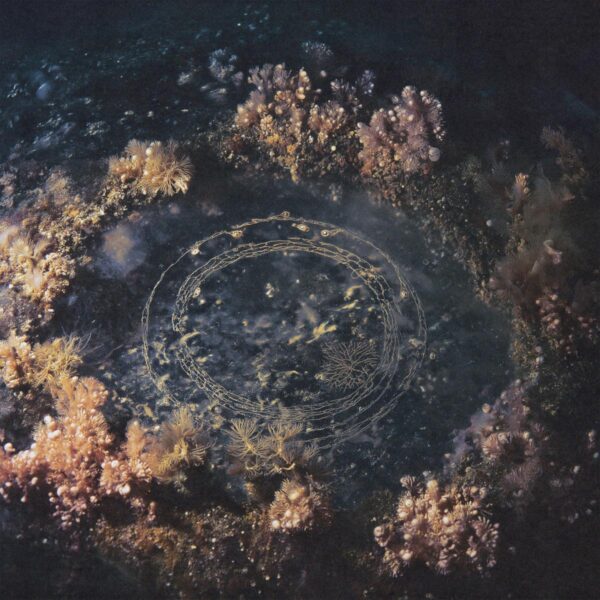 EXE2 VESICA PISCIS