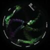 PTN009_A Mutual Bliss EP