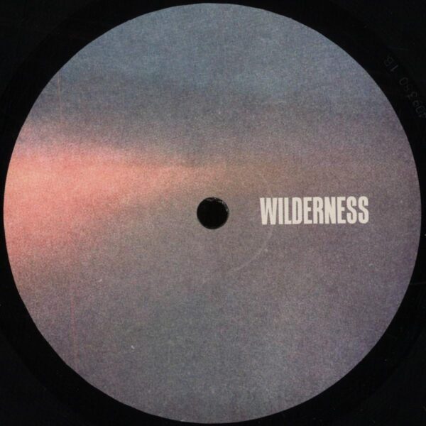 WILDERNESS004 Andromeda EP