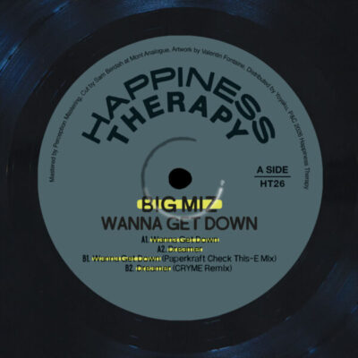 Wanna Get Down