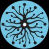 Sense Data