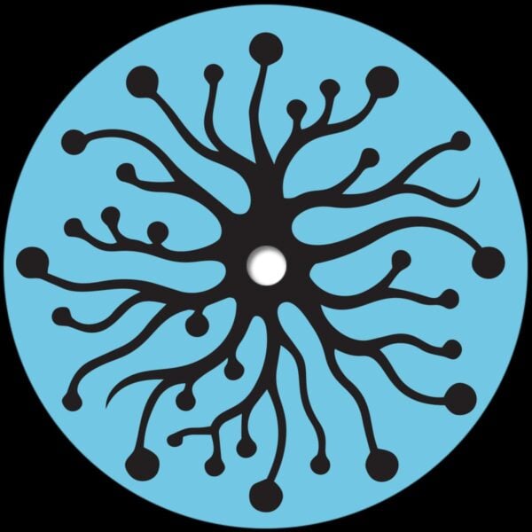 PHONICA044 Sense Data