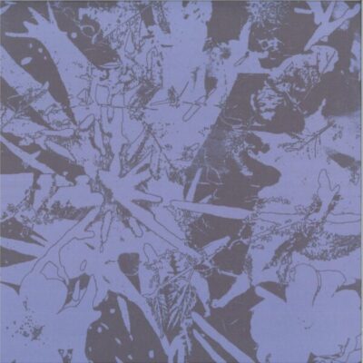 Forest Dwellers LP