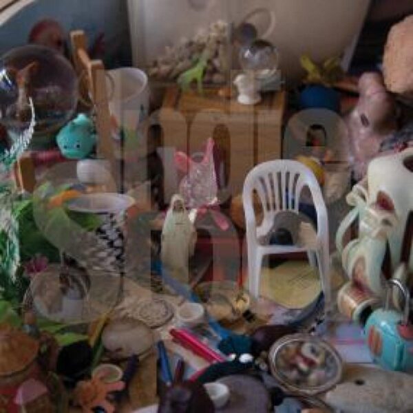 SONLP021 INDIE STOCK