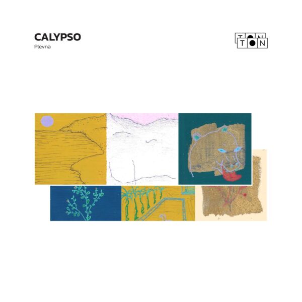 TONTON04 Calypso