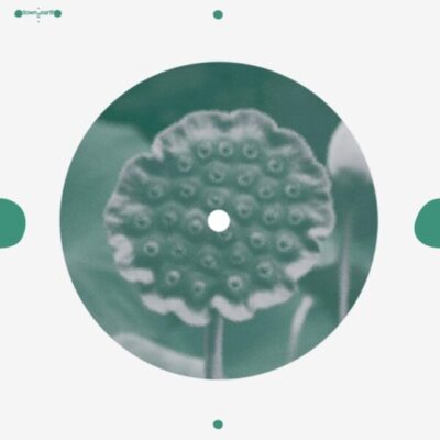 D2E005 beat of blades