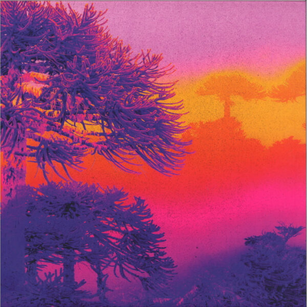 MAGIC018 BOSQUEMAR EP
