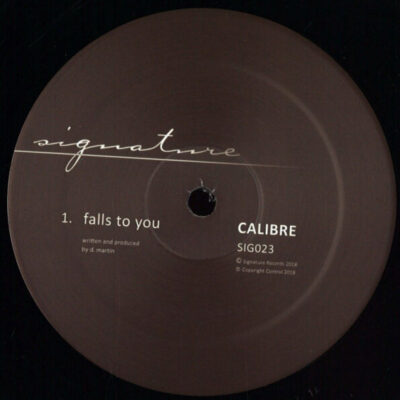 Falls To You (2026 repress)