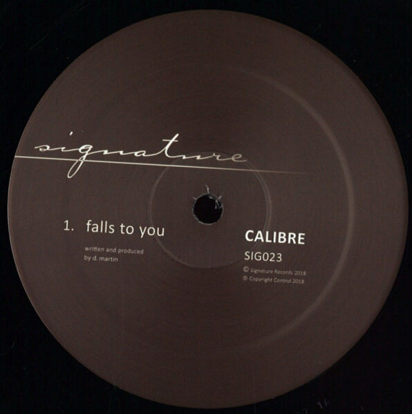 Falls To You (2026 repress)