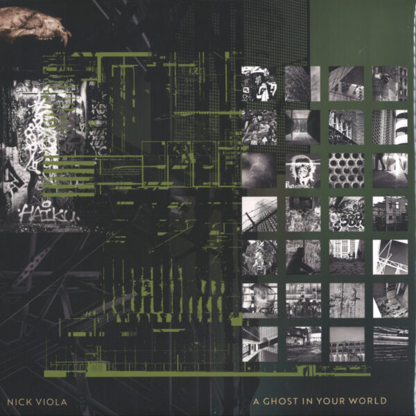 VENA006 A Ghost In Your World LP