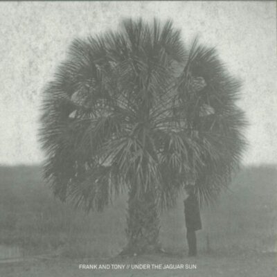 Under The Jaguar Sun